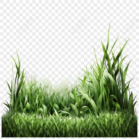 damuhan clipart|Berdeng Damuhan Clipart Elemento,luntiang Damuhan PNG.